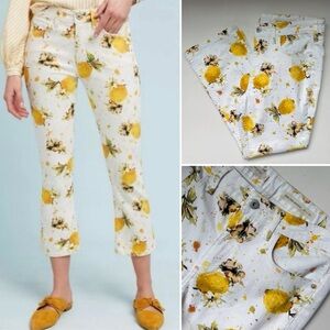 Pilcro and The Letterpress for Anthropologie Lemon Grove Crop Bootcut Jeans